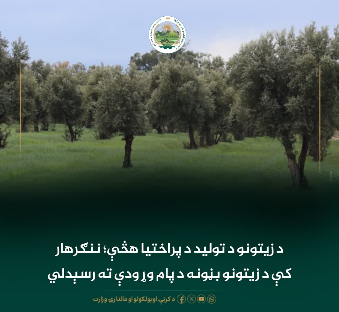 د ورځ مهمی خبری