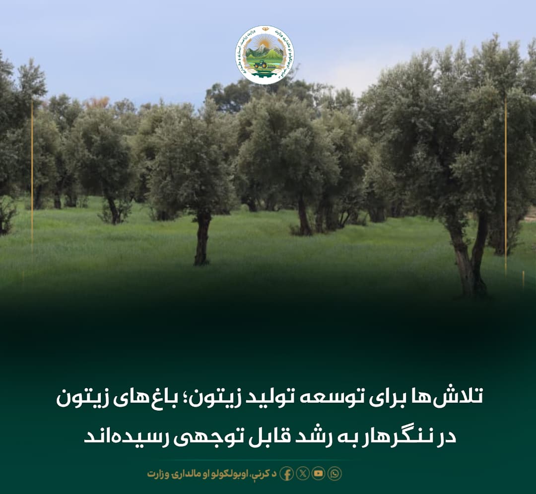 خبرهای مهم روز