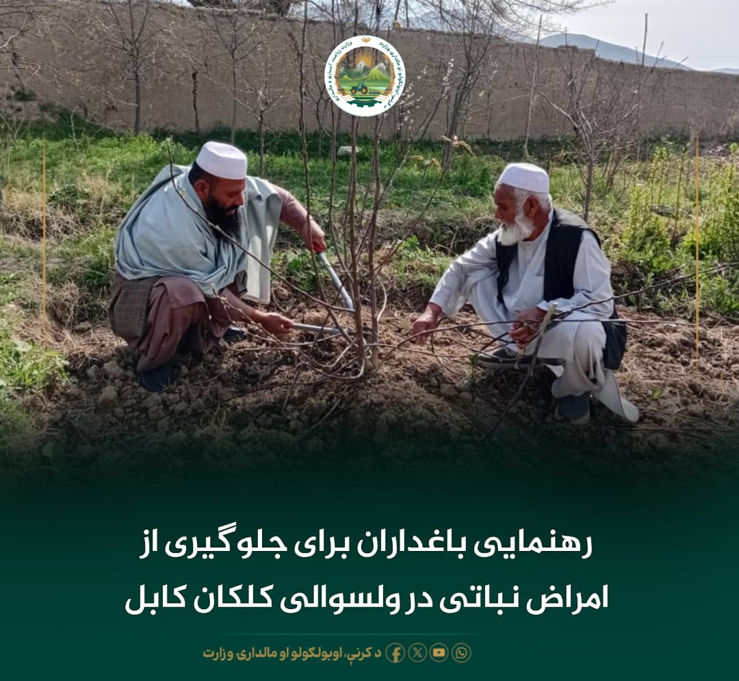 خبرهای مهم روز