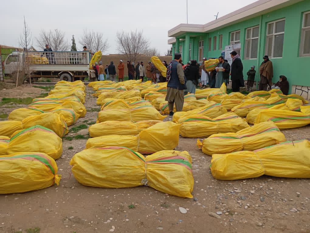 احداث ۱۸۶ قطعه باغ نمایشی مثمر در ۷ ولسوالی جوزجان