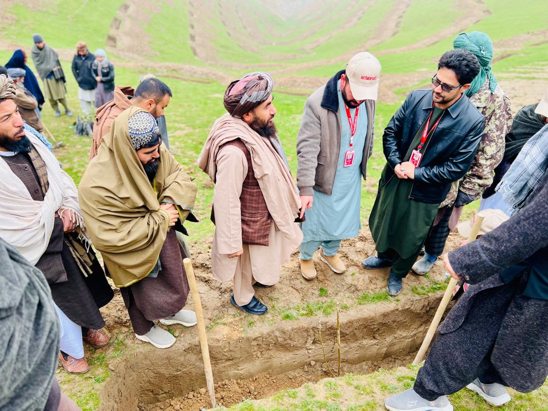 غرس ۳۷ هزار  اصله نهال مثمر در چهار ولسوالی ولایت فاریاب