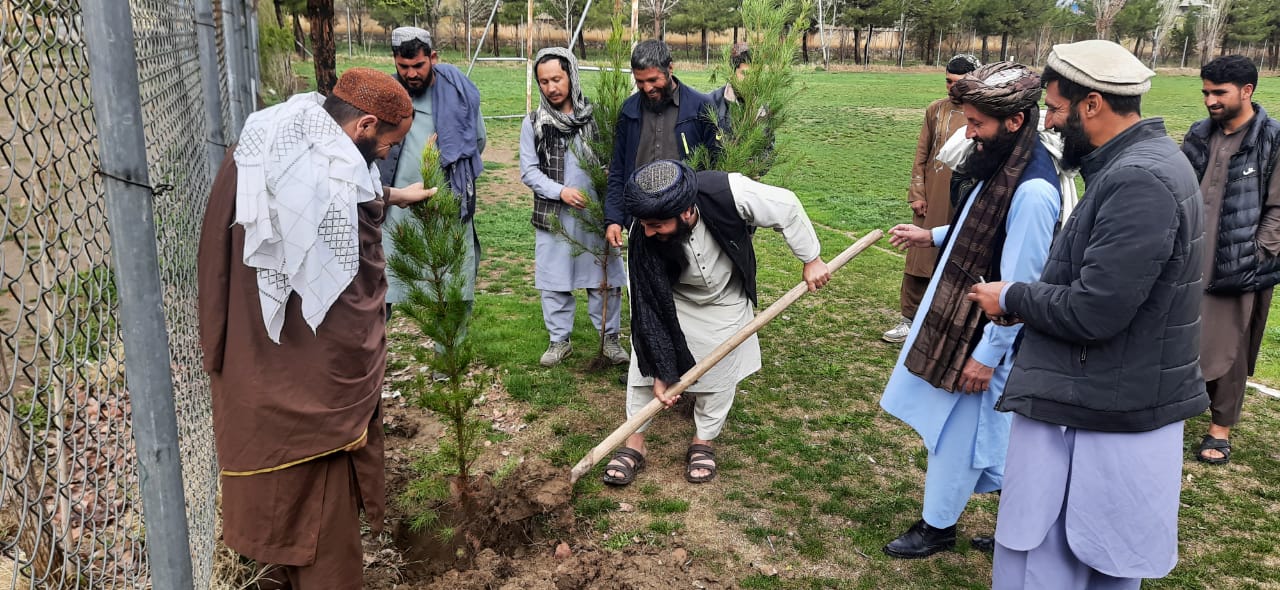 آغاز کمپاین نهال‌شانی بهاری در ولسوالی شکر دره ولایت کابل