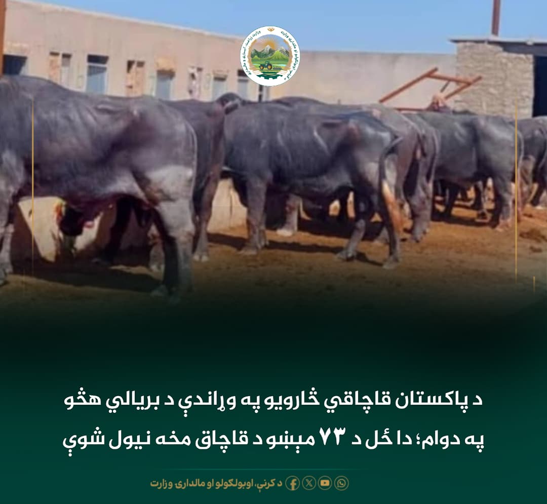 د ورځ مهمی خبری