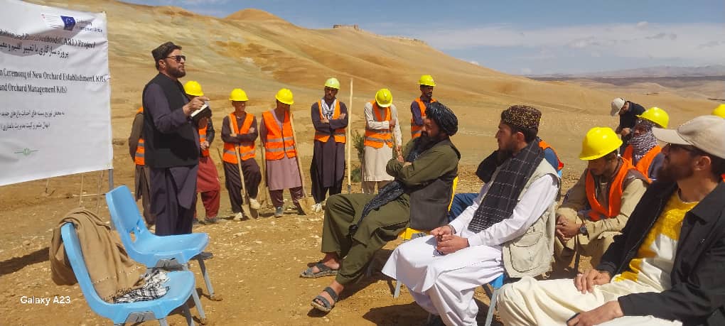 افتتاح برنامه غرس نهال‌های مثمر و غیرمثمر در غور