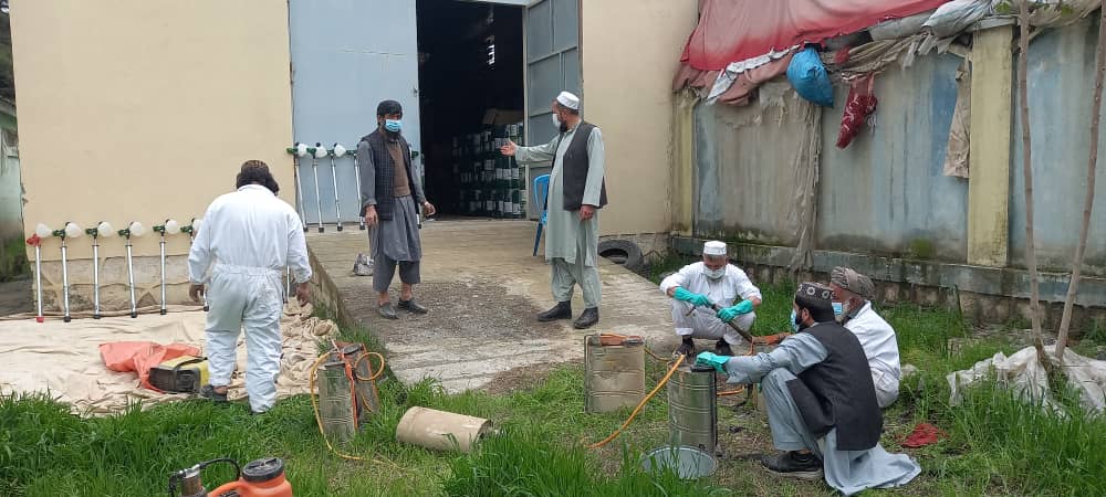 آغاز عملیات کنترول ملخ‌ها در تخار برای حفاظت از محصولات زراعتی