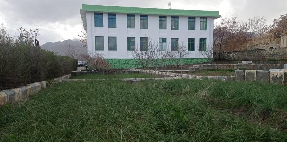 توزیع بیش از ۳ هزار نهال مثمر برای دهقانان در دایکندی