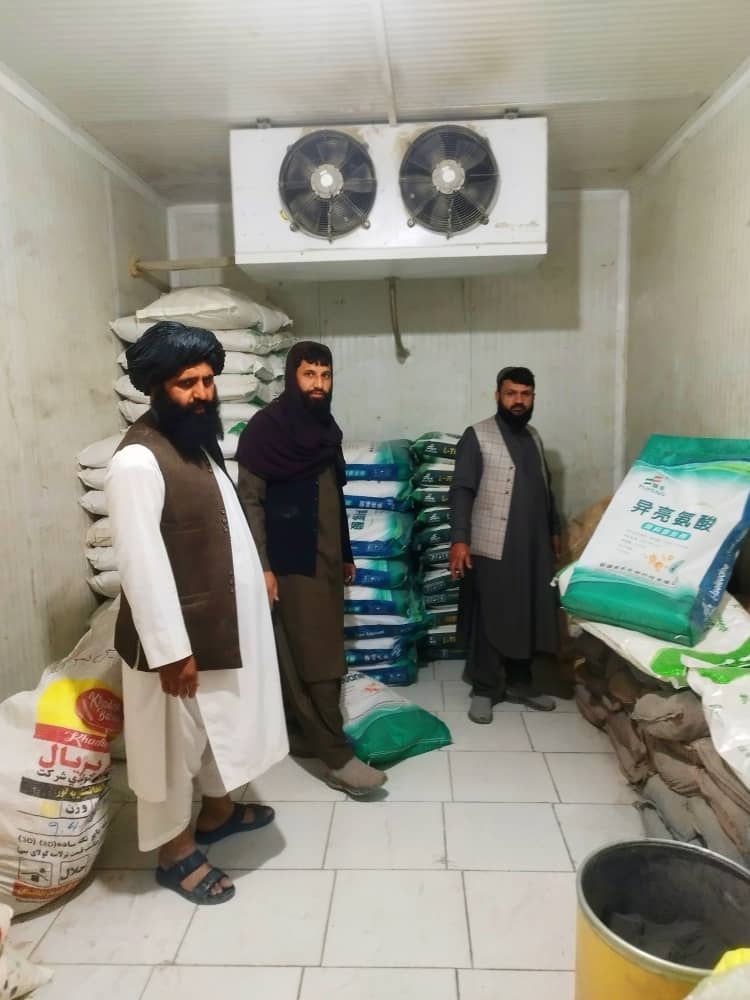 نظارت از شرکت‌های تولید دانه طیور در هرات؛ تأکید بر رعایت معیارهای صحی و جلوگیری از عرضه محصولات بی‌کیفیت