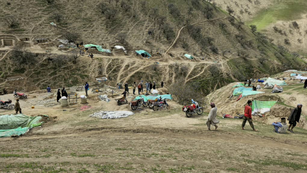 جلوگیری از تخریب جنگلات پسته در ولسوالی دشت ارچی کندز