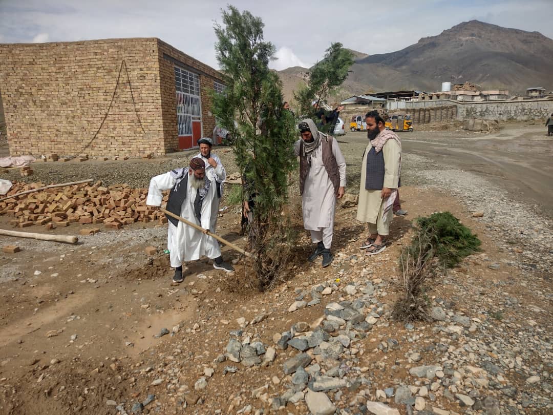 دکابل موسهي ولسوالی کې د چاپېریال د زرغونتیا په پار سلګونه بې‌مېوې نیالګي ووېشل شول