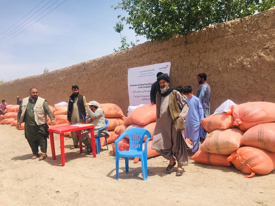 توزیع کمک‌های پروژه انکشاف معیشت و مصئونیت غذایی برای مالداران در زنده‌جان