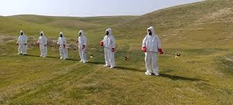 برگزاری جلسه‌ای برای مبارزه علیه ملخ‌های مضر زراعتی در سمنگان