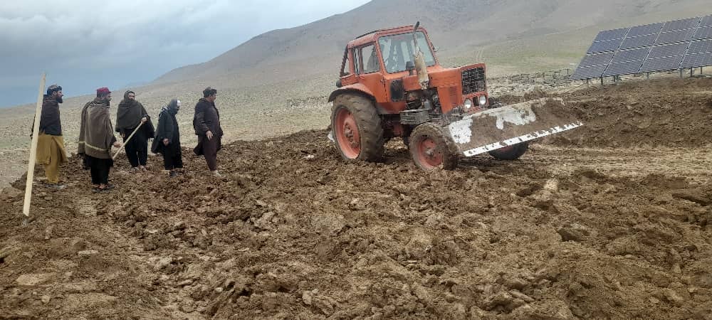 د میدان وردګو ولایت نرخ ولسوالی کې د چاپېریال د زرغونتیا په پار سلګونه بې‌مېوې نیالګي ووېشل شول