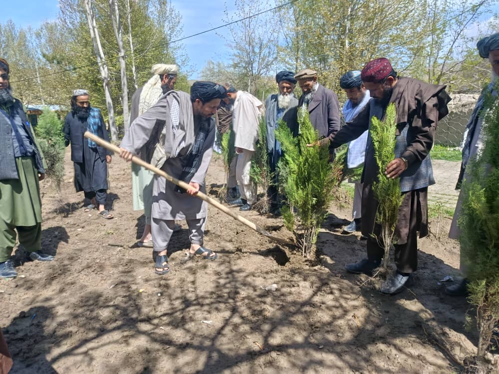آغاز کمپاین نهال‌شانی در ولسوالی چال تخار