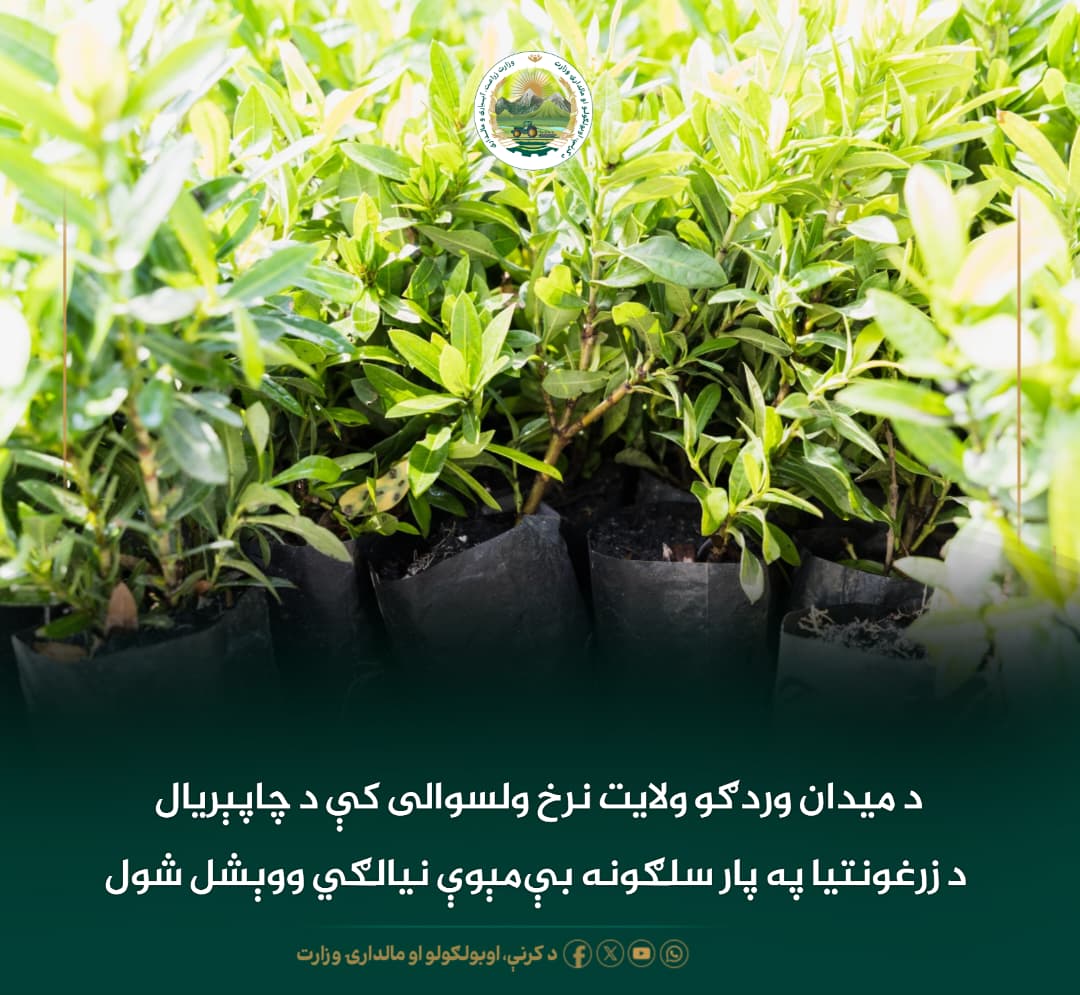 د ورځ مهمی خبری