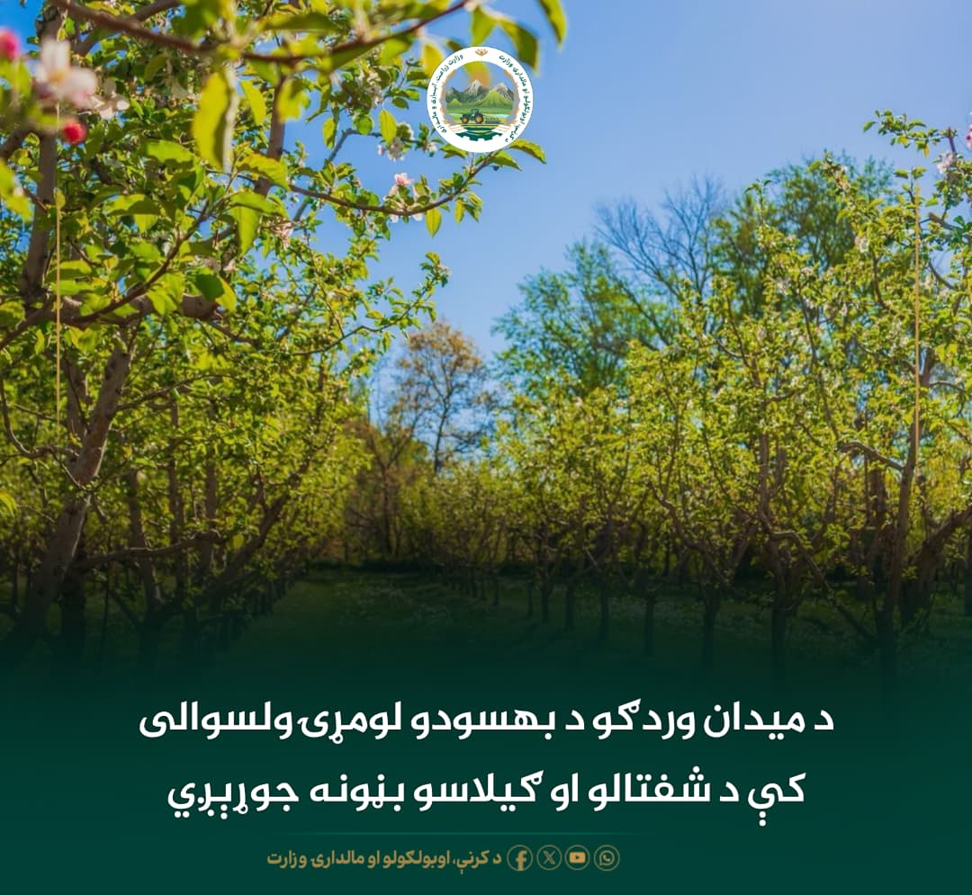 د ورځ مهمی خبری