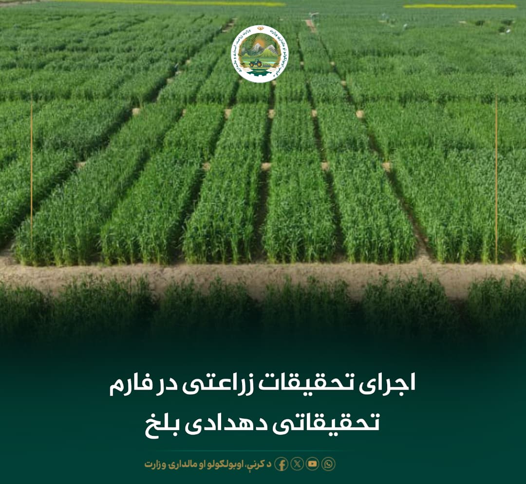 خبرهای مهم روز