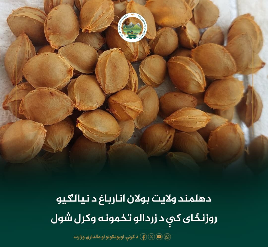 د ورځ مهمی خبری