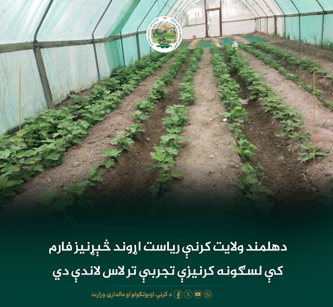 د ورځ مهمی خبری