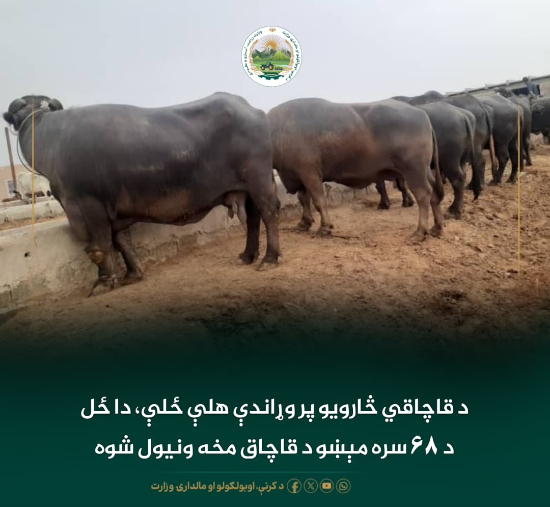 د ورځ مهمی خبری