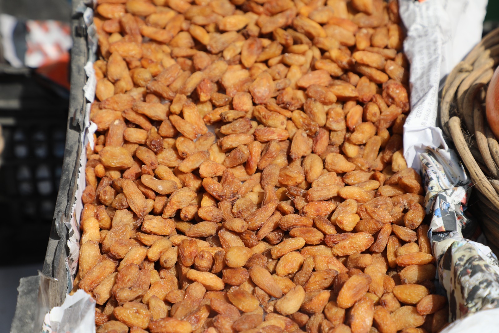 فرصت ویژه برای تولیدکنندگان و متشبثان سکتور زراعت و مالداری کشور