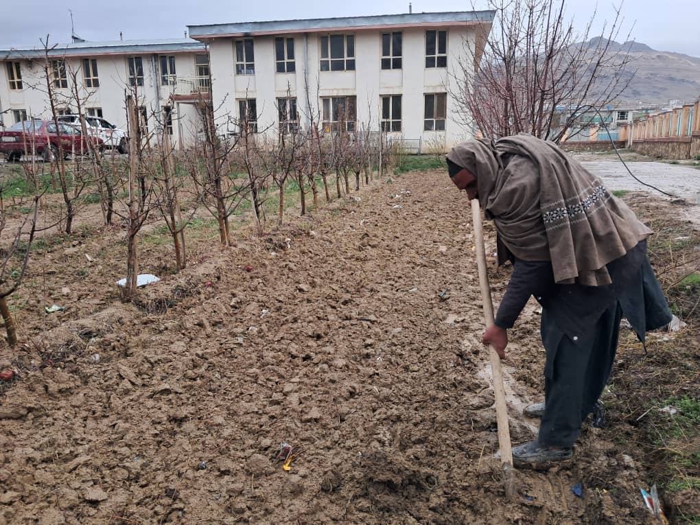 د میدان وردګو کرنې ریاست کې د چاپېریال د زرغونتیا په پارنیالګې کېنول شول