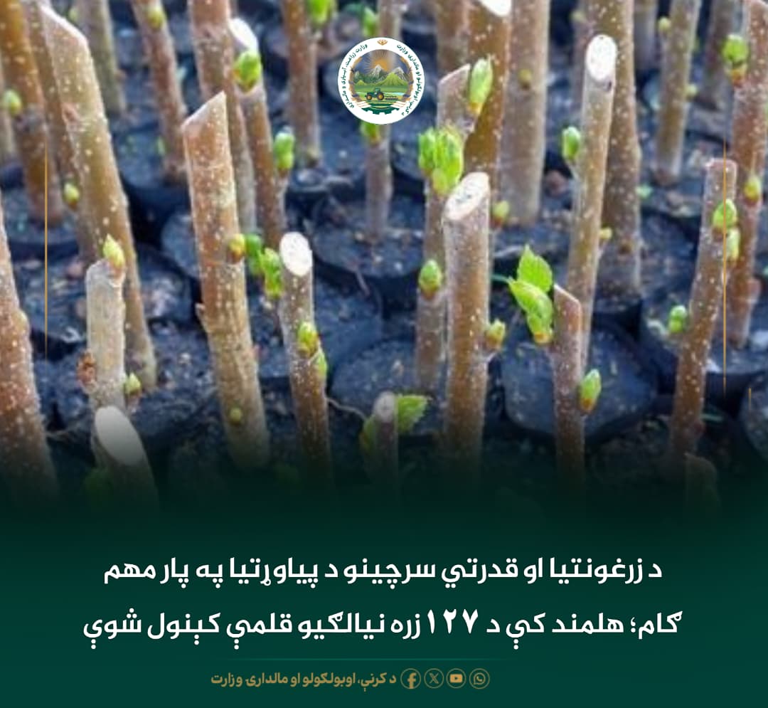 د ورځ مهمی خبری