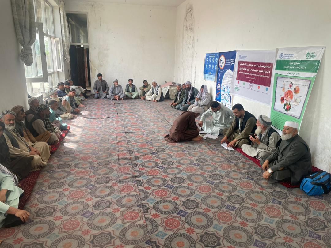 توزیع کارت‌های حمایتی برای دهاقین سویابین‌کار و سبزی‌کار در نهرشاهی