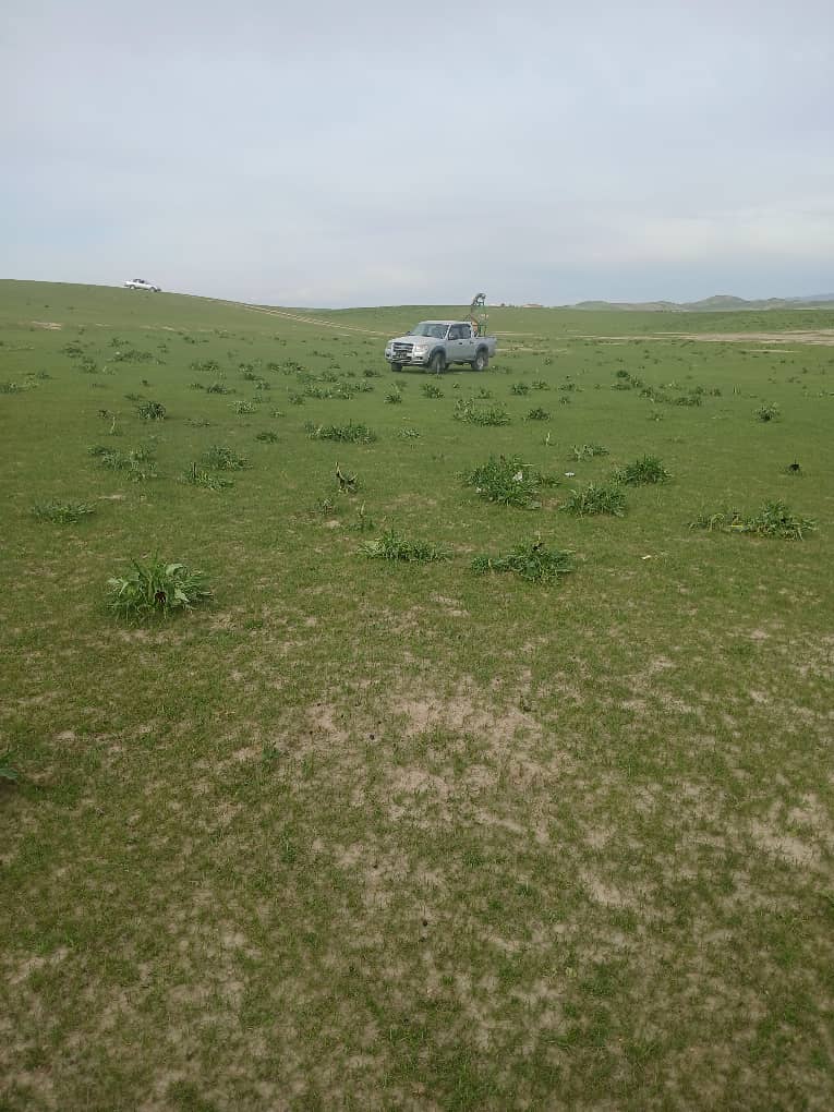 در کندز، کمپاین گسترده‌ای برای مبارزه با ملخ‌ها آغاز شد؛ تلاش‌ها برای حفاظت از محصولات زراعتی سرعت گرفته است