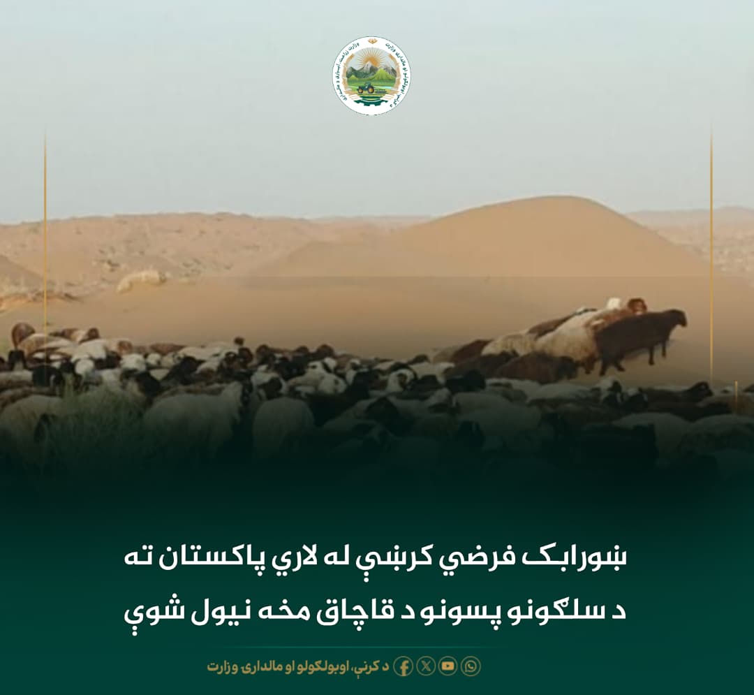 د ورځ مهمی خبری