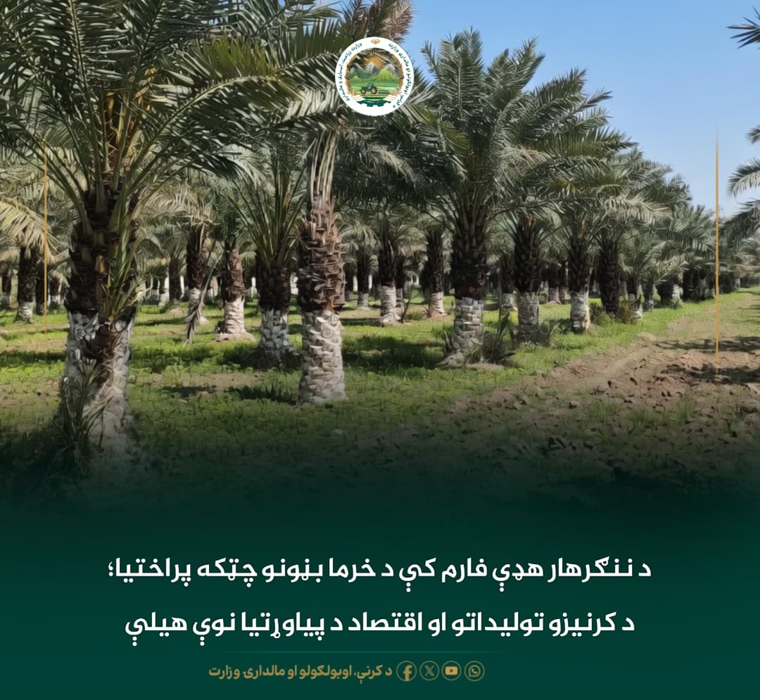 د ورځ مهمی خبری