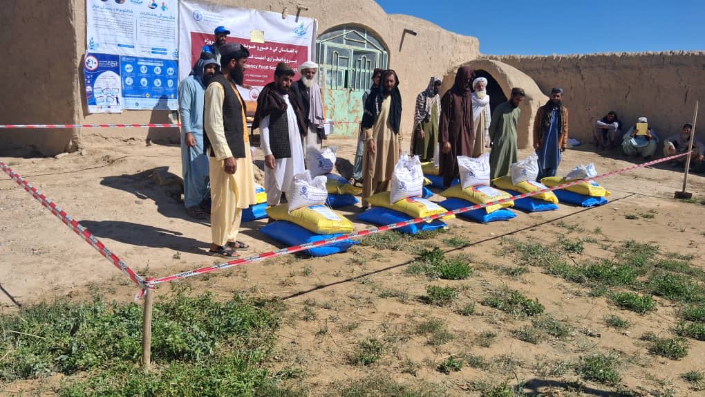 توزیع تخم‌های اصلاح‌شده جواری و کودهای کیمیاوی برای صدها دهقان در ولایت فراه آغاز شد