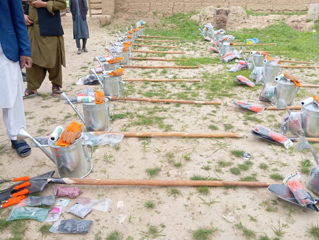 توزیع تخم سبزیجات و وسایل باغچه‌های خانگی برای ۱۱۰ خانواده در جوزجان