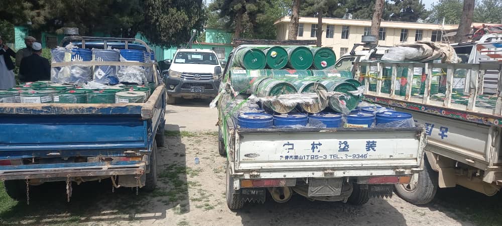 آغاز کمپاین سراسری مبارزه با ملخ‌های مضره در تخار