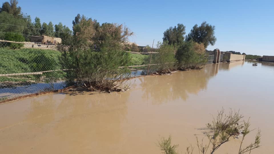 تلاش‌های ریاست زراعت نیمروز برای رسیدگی به آسیب‌دیدگان سیلاب‌ها در ولسوالی چخانسور