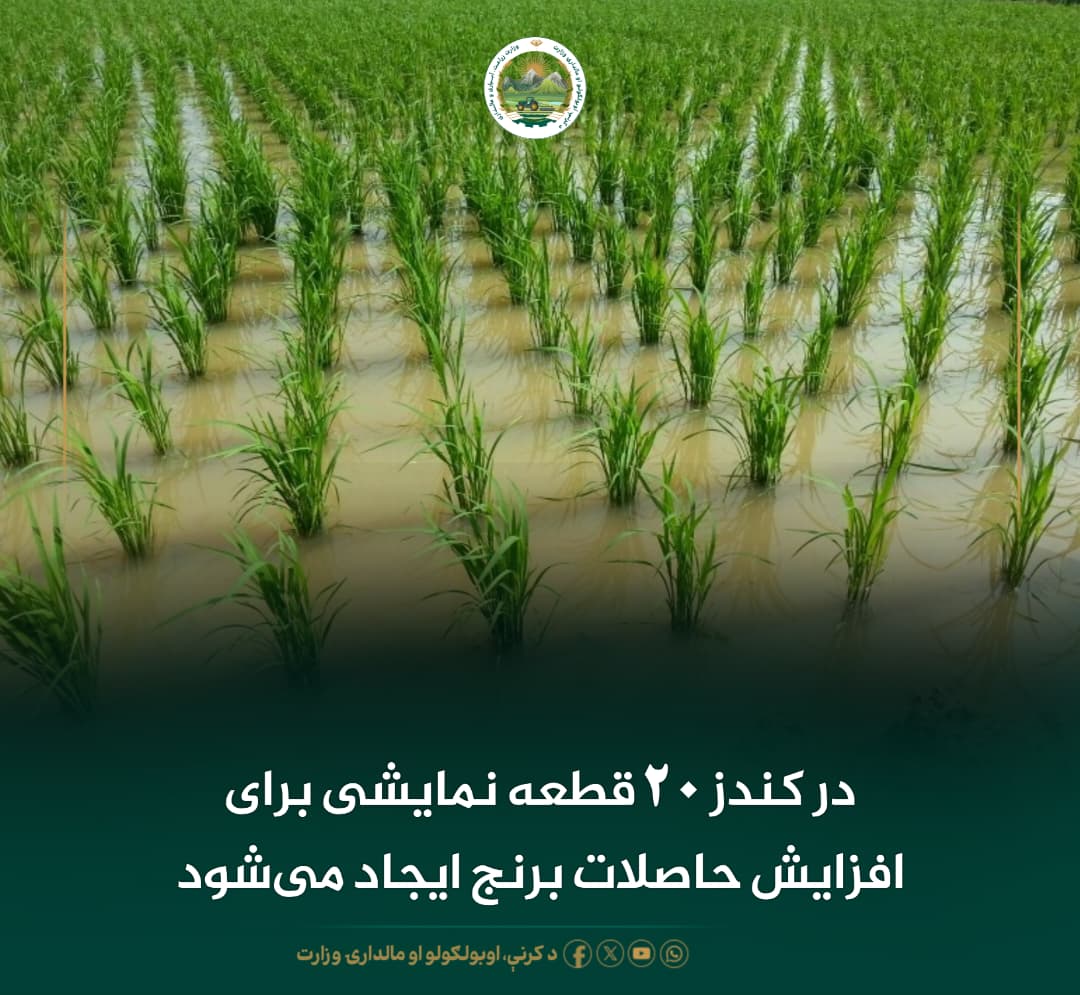 خبرهای مهم روز