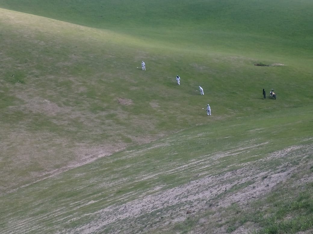 مبارزه گسترده با ملخ‌های مضر در ولسوالی‌های هرات؛ وضعیت تحت کنترول است