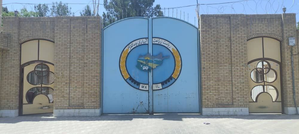 افزایش بارندگی‌ها نوید سال زراعتی امیدوارکننده در هرات را می‌دهد