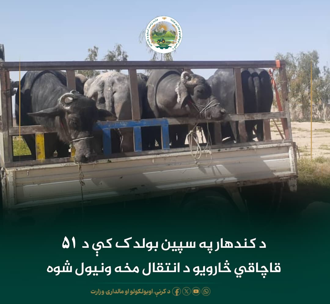 د ورځ مهمی خبری