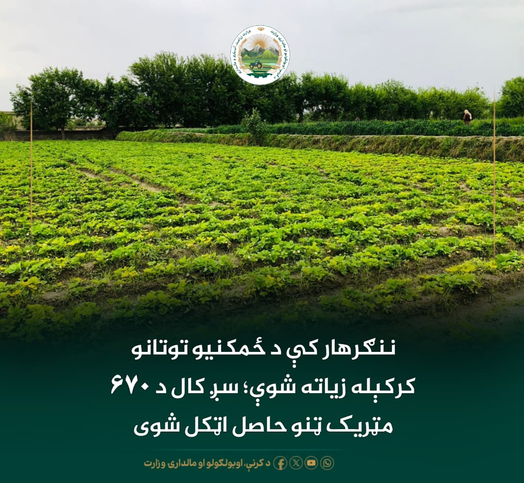 د ورځ مهمی خبری