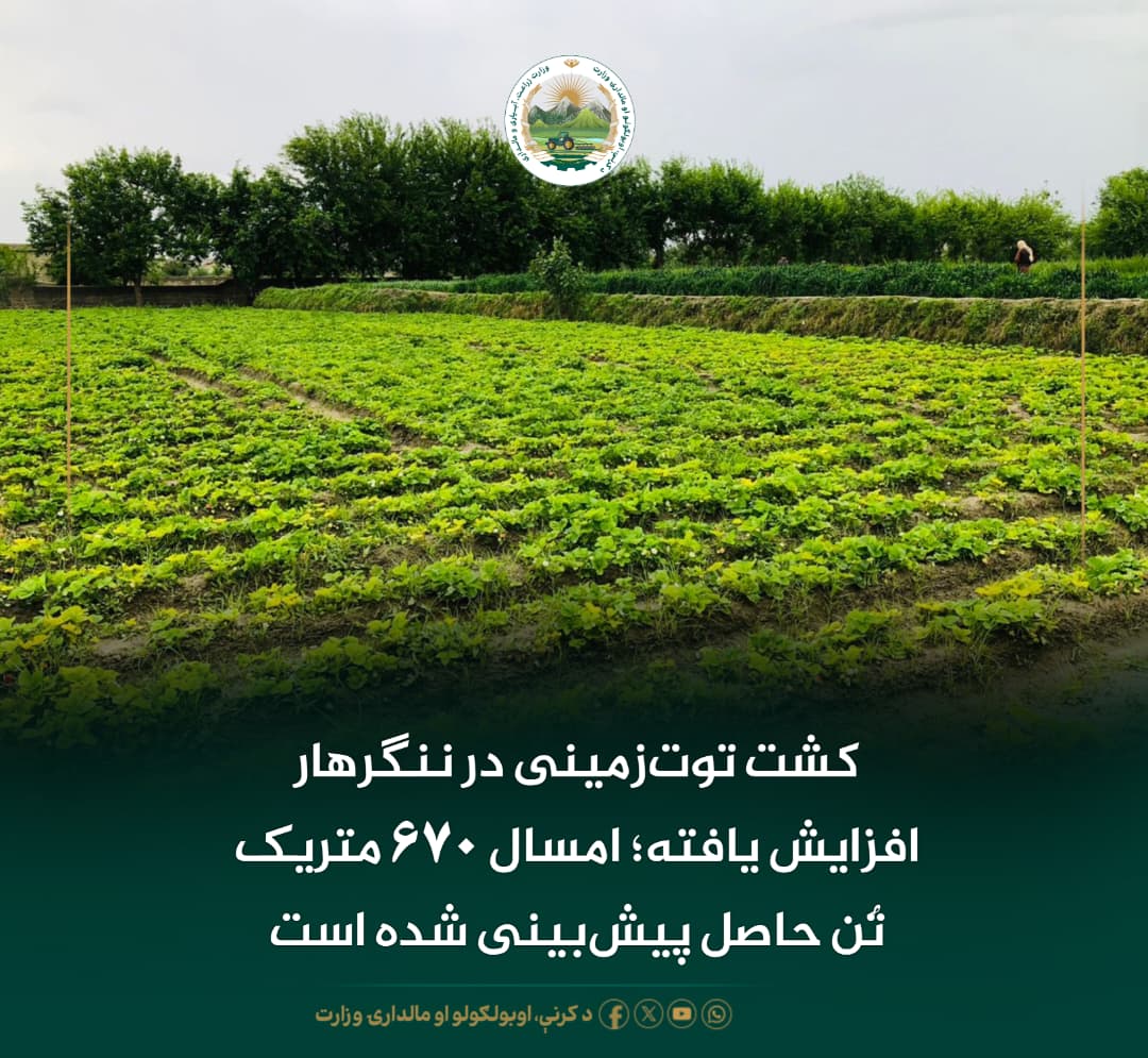 خبرهای مهم روز