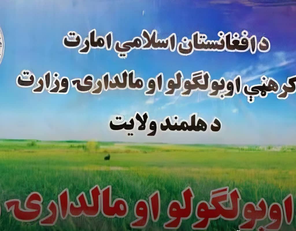 د بزګرانو او مالدارانو ستونزو ته رسېدنه؛ د هلمند نادعلي ته د کرنې رییس سفر