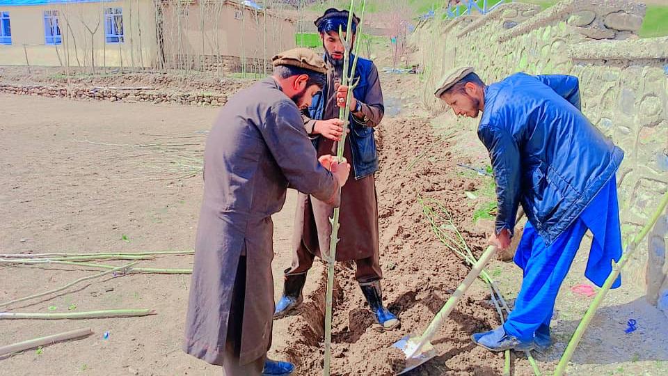 آغاز کمپاین نهال‌شانی در ولسوالی راغستان ولایت بدخشان