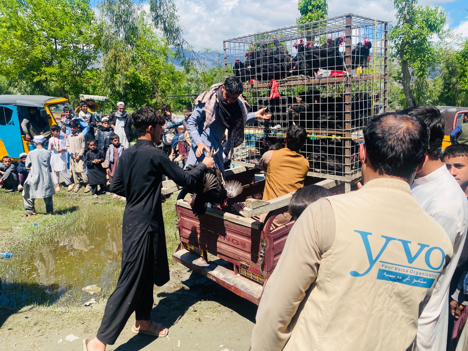 د ننګرهار کوز کونړ کې ۴۷ راستنو شوو او اړمنو کورنیو ته د هګیو چرګانو وېش