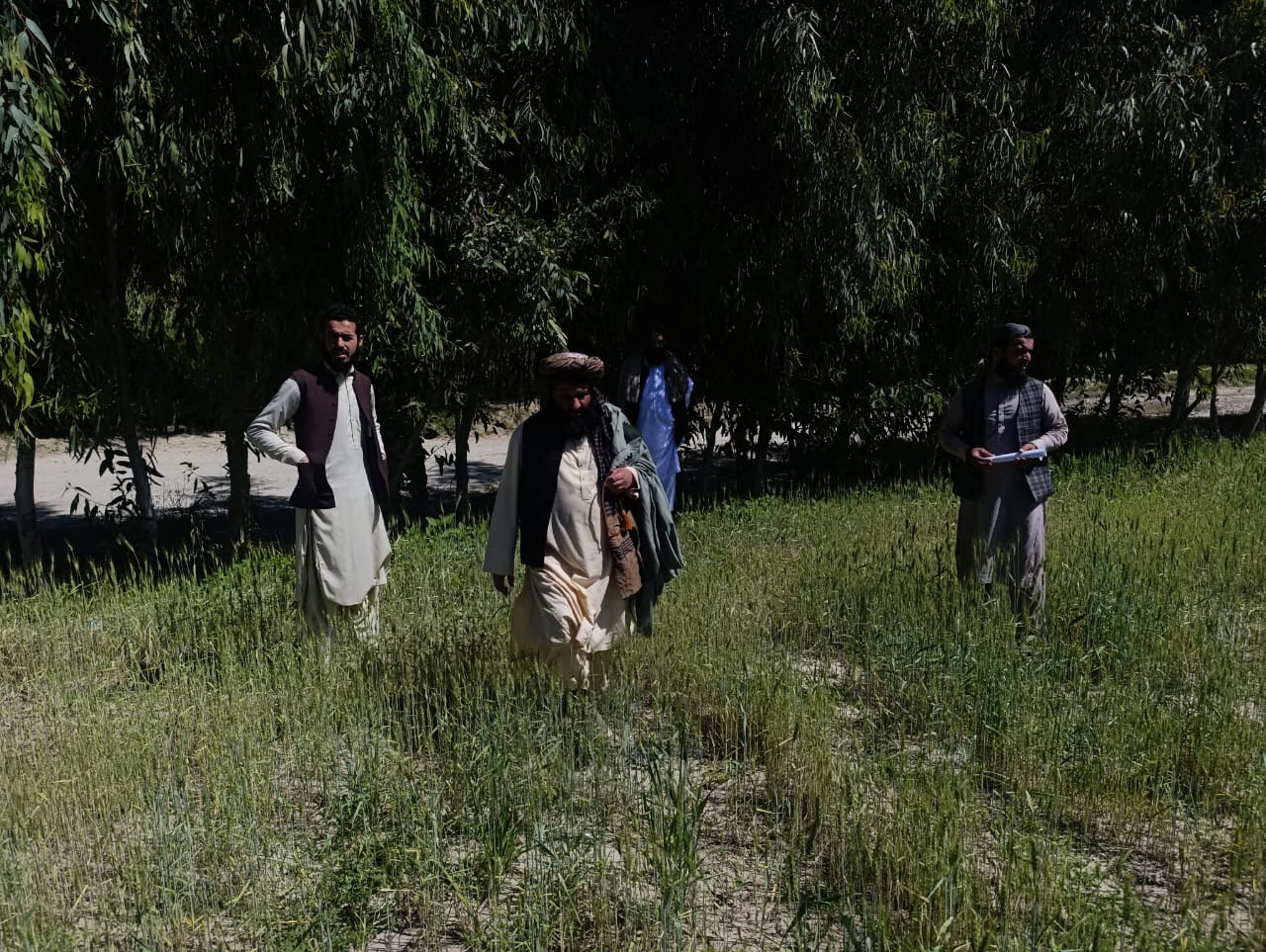 لغمان کې د کرنیزو څېړنو په پار فارم جوړېږي