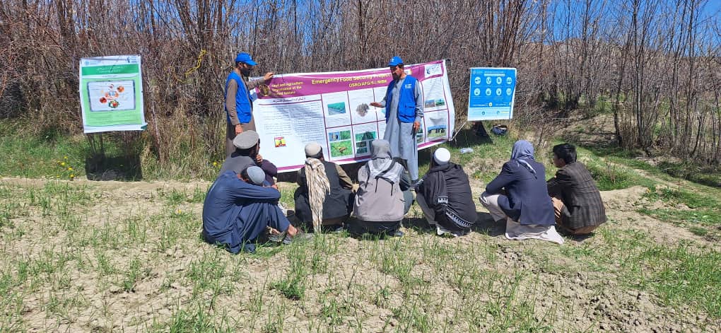 د میدان وردګو جغتو کې یوشمېر بزګران وروزل شول