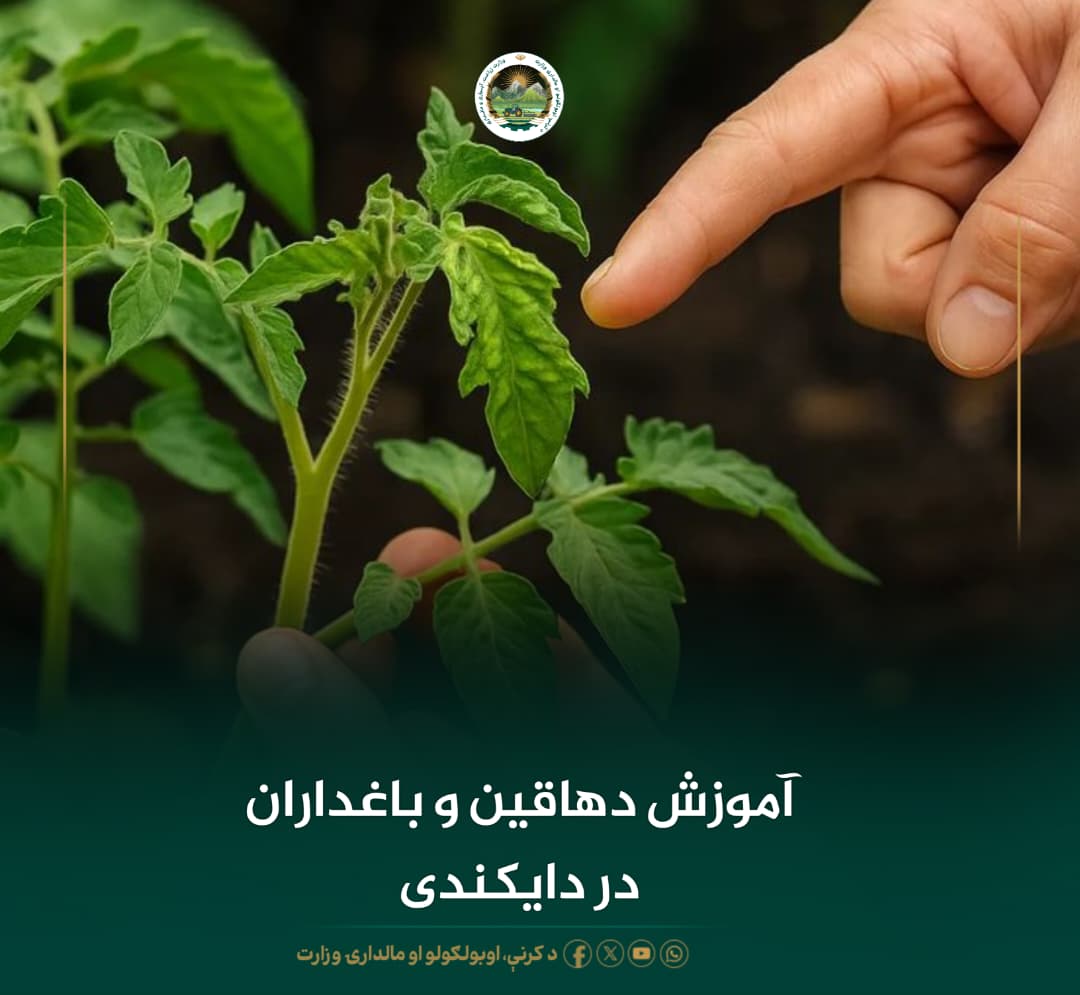 خبرهای مهم روز