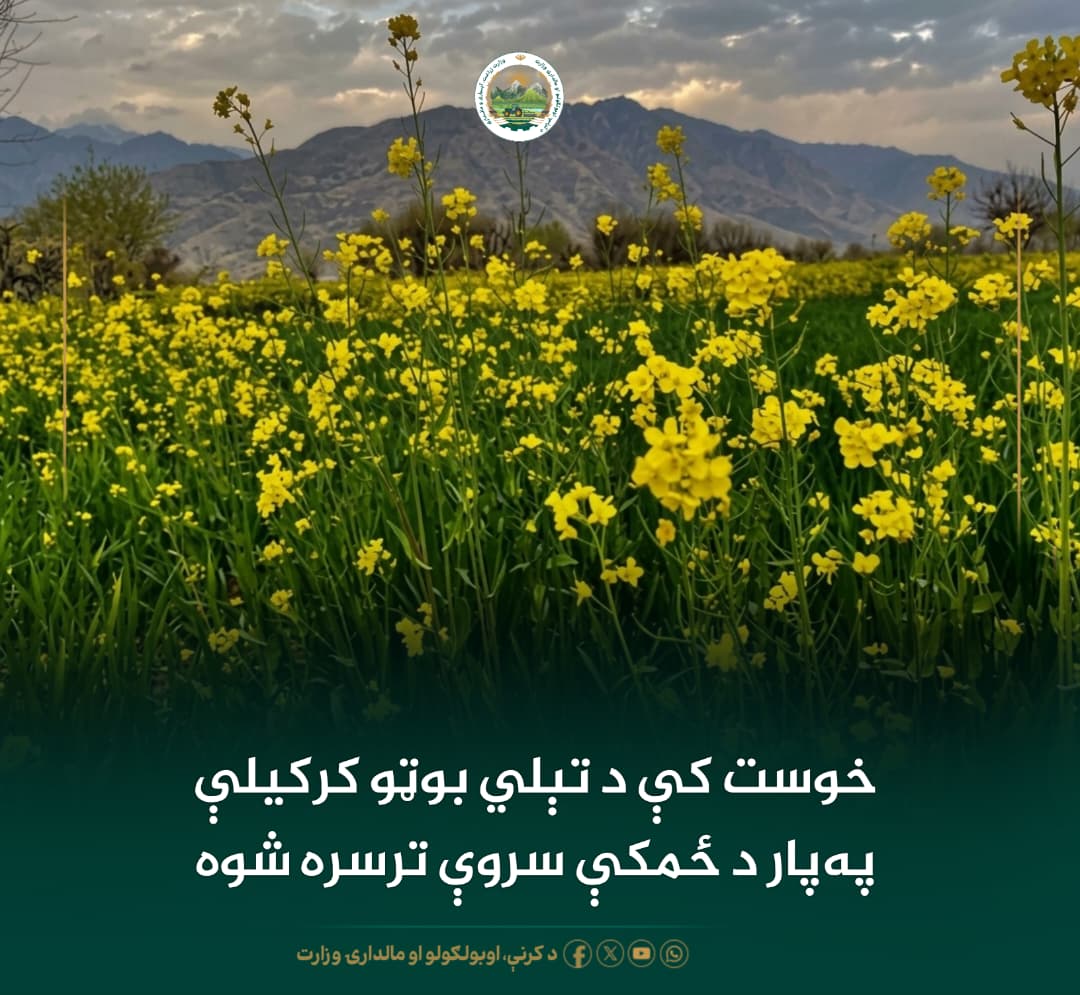 د ورځ مهمی خبری