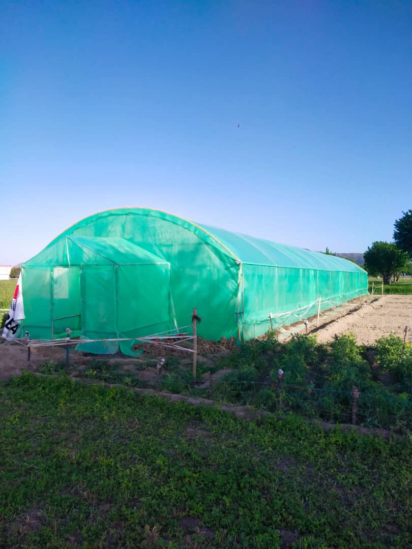 خوست کې د څه باندې ۲۷۱ زره ډالرو په ارزښت کرنیزې پروژې؛ د بزګرانو د عوایدو او کارموندنې لپاره مهم ګام