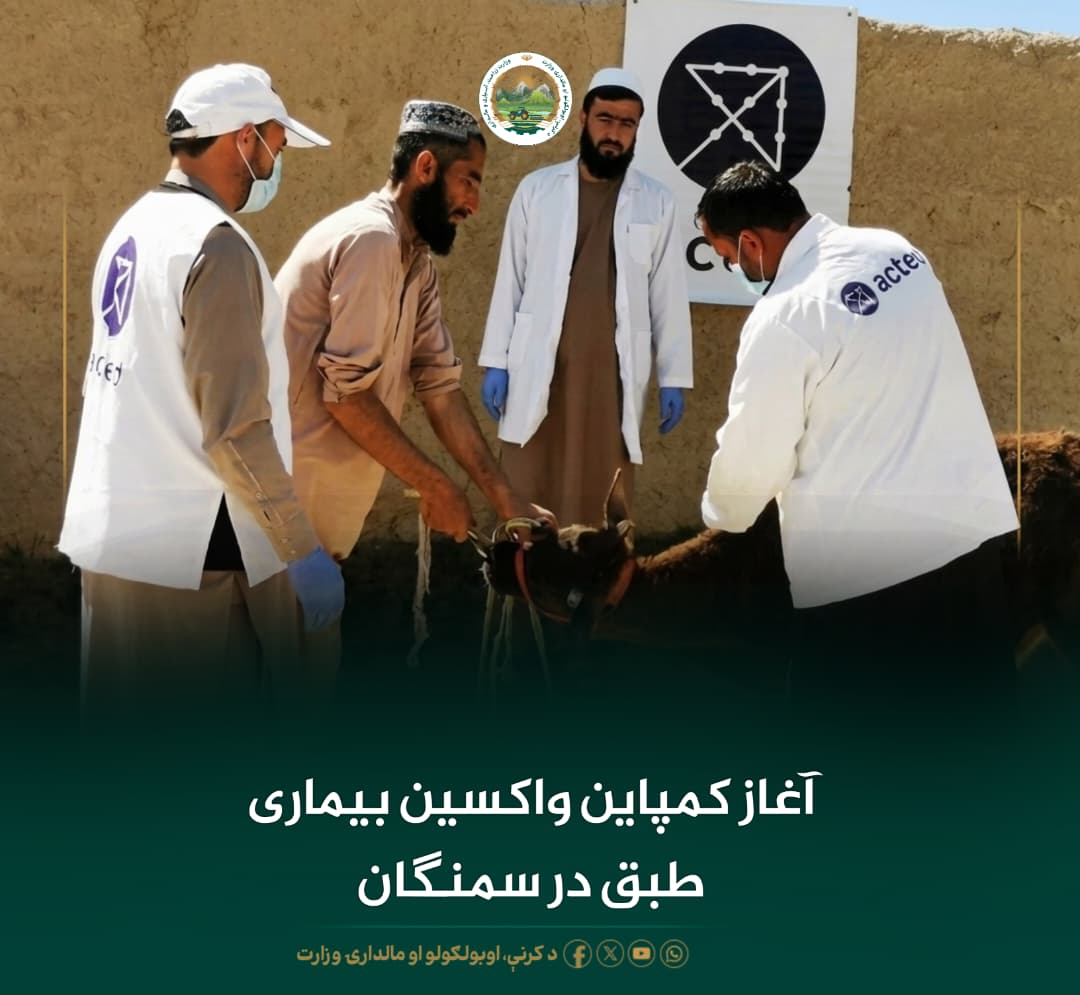 آغاز کمپاین واکسین بیماری طبق در سمنگان