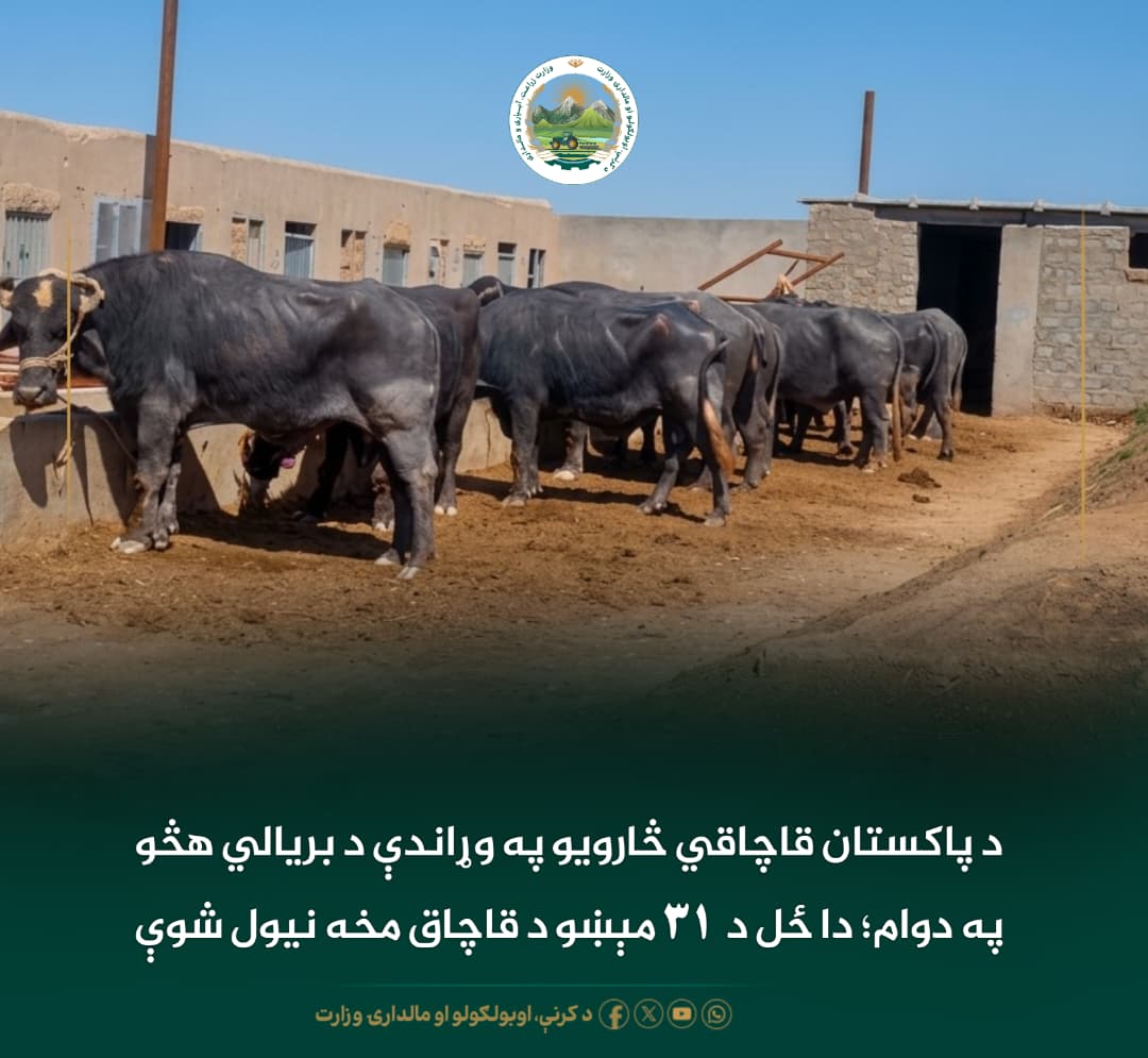 د ورځ مهمی خبری